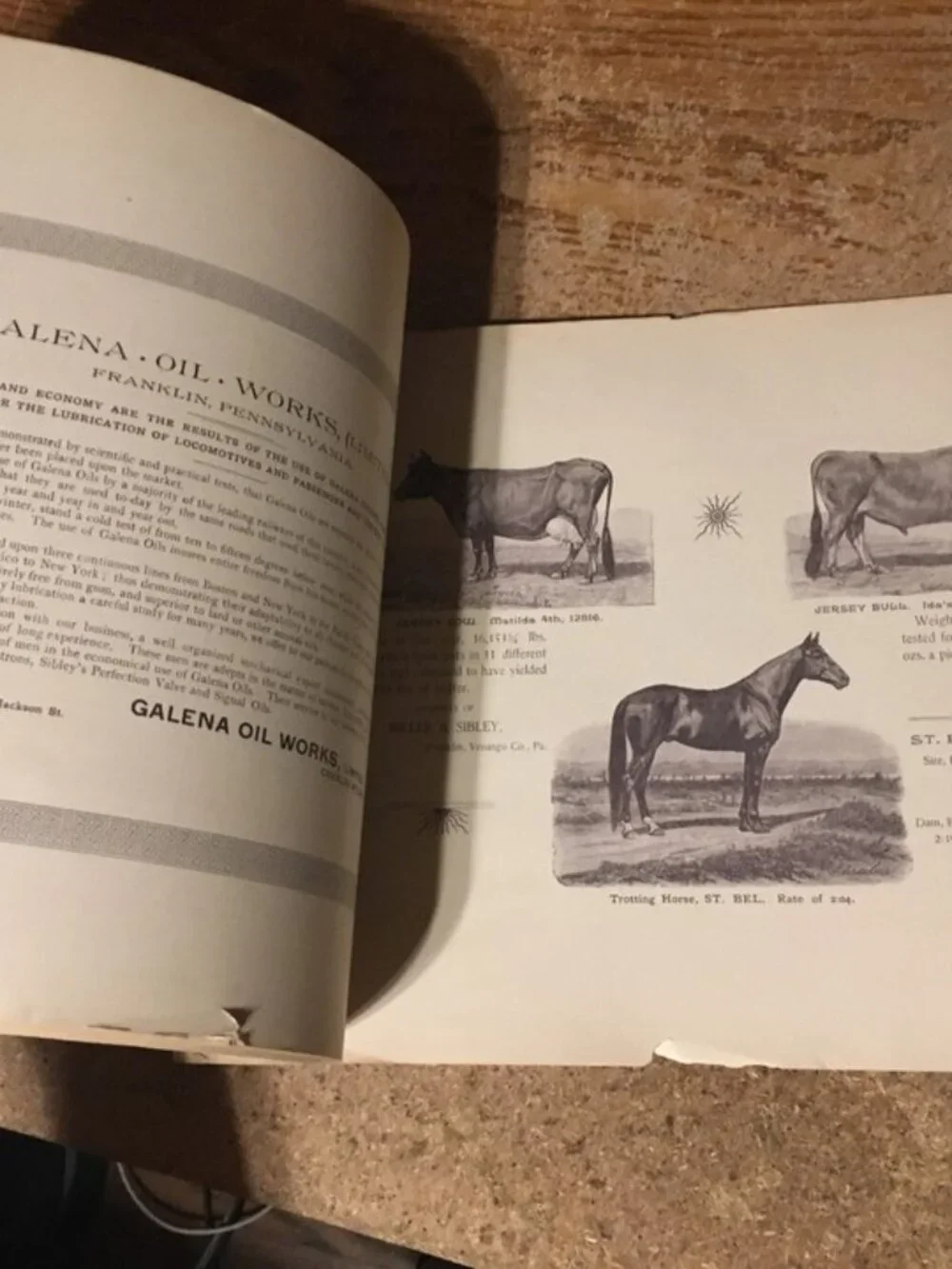 THE WORLD'S FAIR 1893 COLUMBUS WASHINGTON BOOK